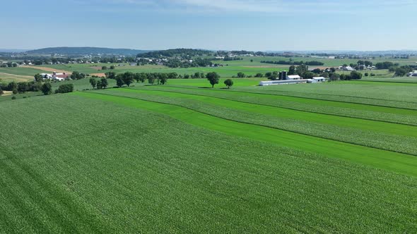 An aerial view of the lush green farmlands in the rural countryside of Lancaster County, Pennsylvani alt