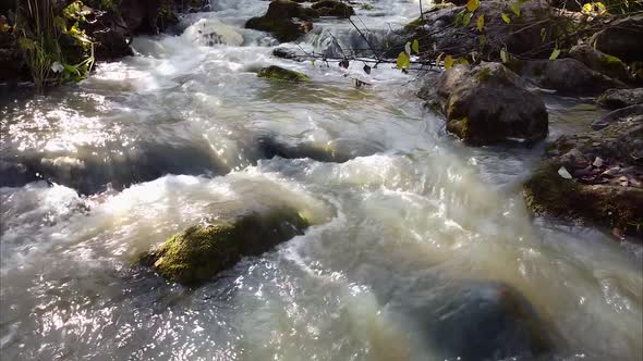 Flight of an Unmanned Camera Near a Mountain River Among Trees, Forests, Aircraft alt