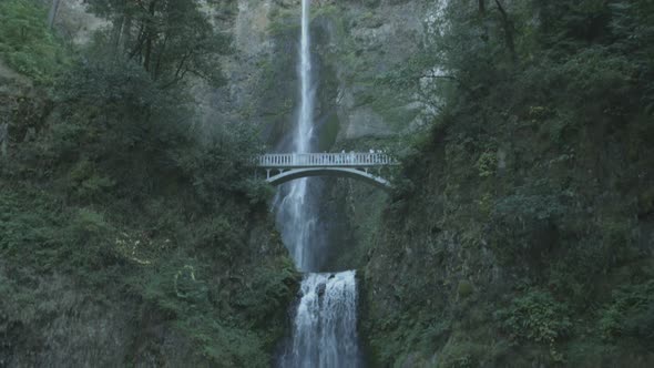 Tilt down view of Multnomah Falls alt