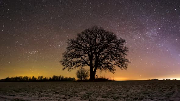Starry constellations motion and rotating stars on winter night sky, 4k dolly timelapse video