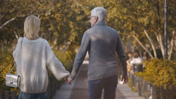 Back View of Romantic Senior Couple Walking in Park in Autumn alt