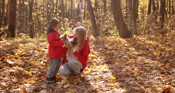 Mother and Daughter Playing with Dogs in the Forest alt