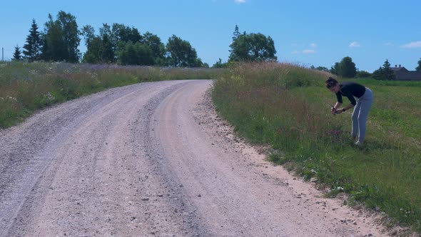 Young brunette woman collects flowers in the field near the gravel road for summer solstice (Ligo) c alt