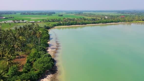 aerial photography forest beach