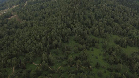 Deep green forest on mountains of Manzherok, Altai