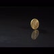 Spinning coin on a reflective surface - MONEY 0048 - VideoHive Item for Sale