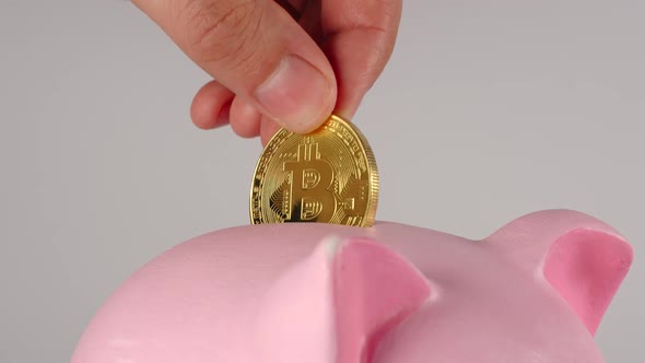 Male hand throws bitcoin into a pink piggy moneybox