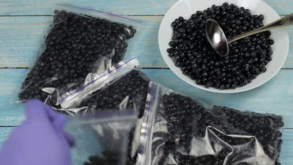 Packages with Blueberries in Zipper Plastic Bags for Freezing. Frozen, Preservation Berries Food alt