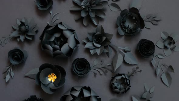 Black paper flowers on Black background. Cut from paper. 4k video template alt