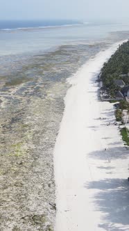 Vertical Video of Low Tide in the Ocean Near the Coast of Zanzibar Tanzania alt