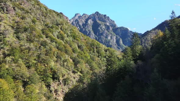 Aerial view of mountains with forest in Val Grande, Italy. alt
