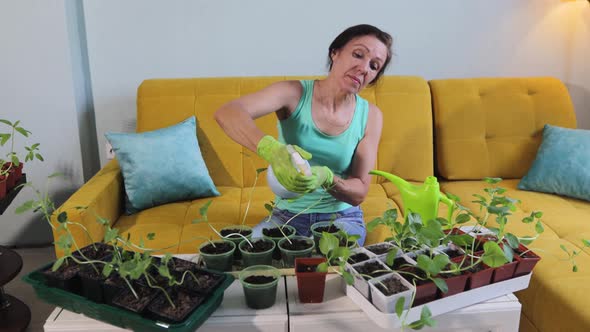 Gardening at Home. alt