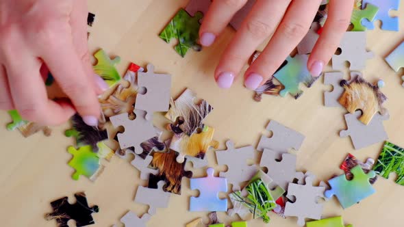 Family Leisure Time alt