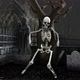  Skeleton dancing salsa in a cemetery - VideoHive Item for Sale