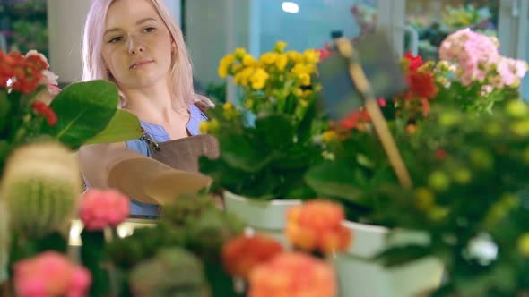 Serious Calm Young Woman Inspects and Observes Home Plants alt
