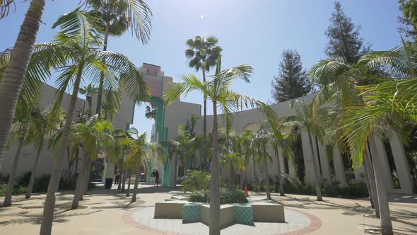 Palm trees at the Civic Center in Beverly Hills alt