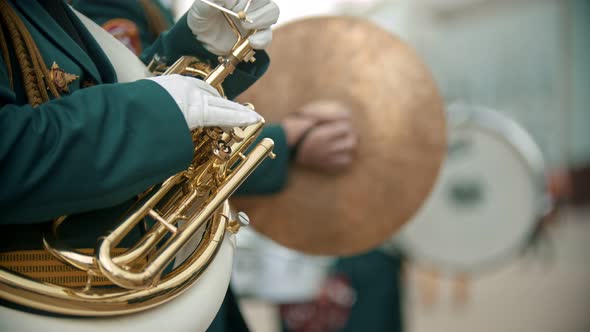 A Wind Instrument Military Parade - a Man in Green Costume Playing French Horn Outdoors alt