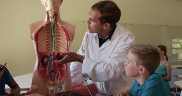 Male teacher teaching human anatomy in the class alt