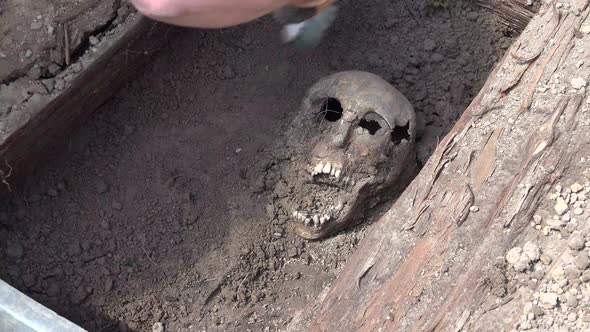  Exhumation Of Human Remains