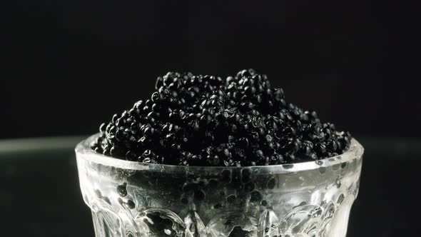 Black Caviar Closeup alt