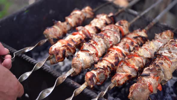 Barbecue Meat on Skewers, Beautifully Browned Meat on the Grill. A Pork Meat on the Grill in the alt