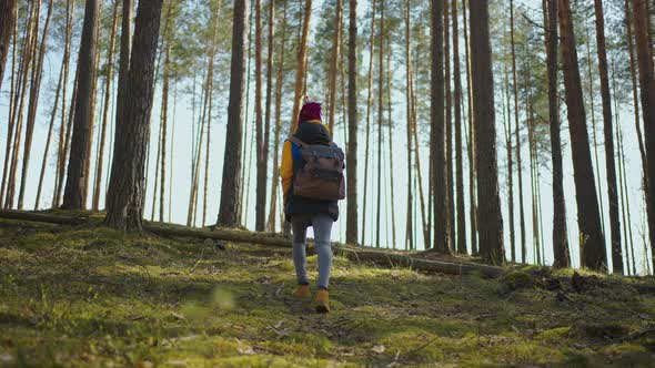 Euphoric Pretty Woman with Tourist Backpack Walking Alone Through Summer Forest Wild Nature Enjoying alt