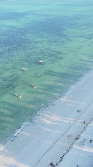 Vertical Video of the Beach on Zanzibar Island Tanzania alt