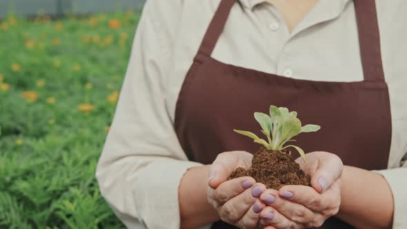 Gardener with Seedling in Handful alt