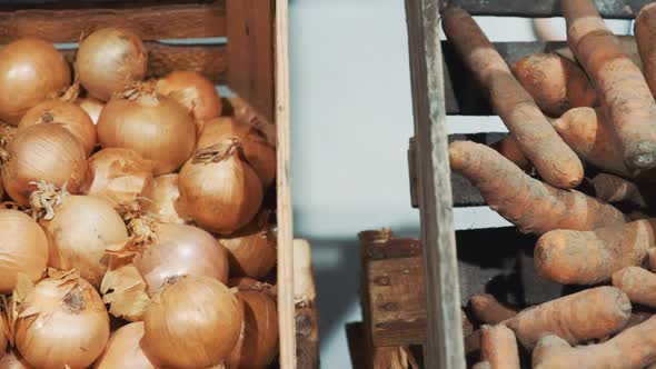 Counter with Vegetables: Onions and Carrots alt