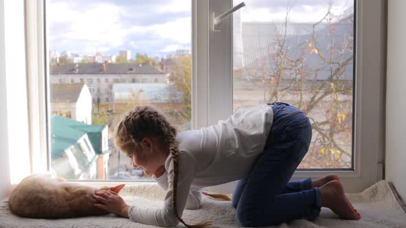 Little Girl and Her Ginger Cat are Playing While Sitting on the Windowsill alt
