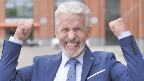 Old Businessman Celebrating Success alt