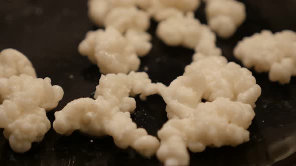 Lactobacillus species lactic acid bacteria and yeasts kephyr slow tilt 4K 2160p 30fps UltraHD footag alt