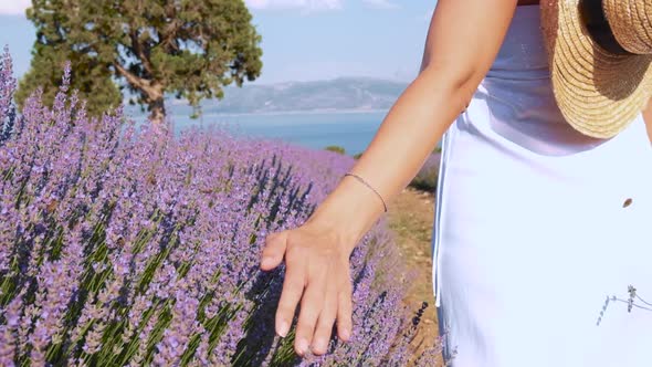 Female Hand on Lavender alt