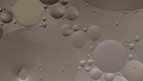 Macro Structure of Colorful Oil Bubbles. Chaotic Motion. Abstract Multicolored Background. Pattern alt