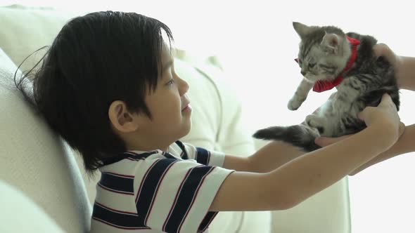 Asian Mother Giving A Kitten To Her Son Slow Motion alt