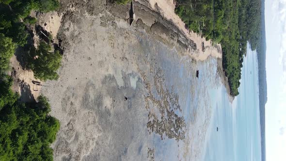 Zanzibar Tanzania  Vertical Video of Low Tide in the Ocean Near the Coast Slow Motion alt