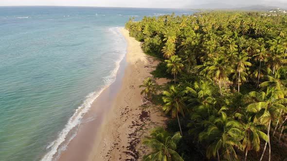 Nature Beach