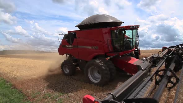 0005   Colheitadeira Passando Em Campo De Trigo
