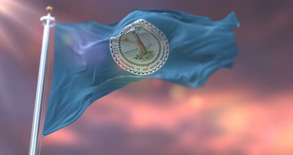 Virginia Beach Flag, United States alt