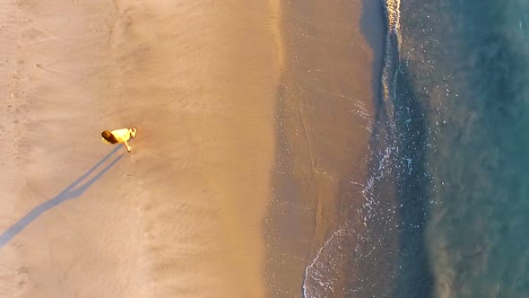 Young Man Walking on a Virgin Tropical Beach Aerial Drone View