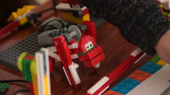 Animal Robot in Action. Robotics Study at School alt