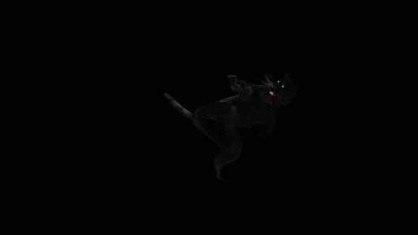 15 Panther Dancing HD alt