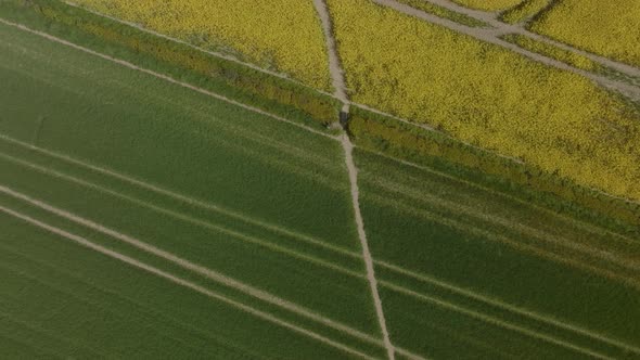 Footpath In Arable Fields Birds-Eye-View Aerial alt