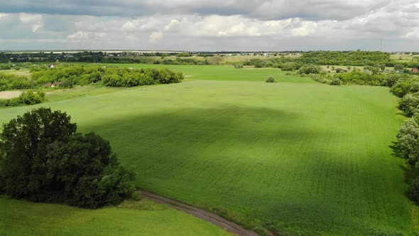 Flight Over Landscape with Fields in June in Russia