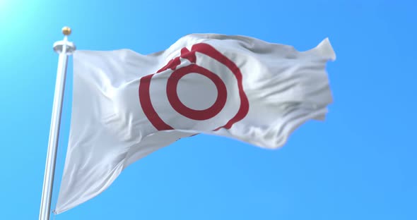 Yamaguchi City Flag alt