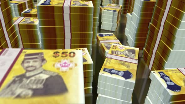 3d flight over the Brunei dollar money banknote packs loop alt