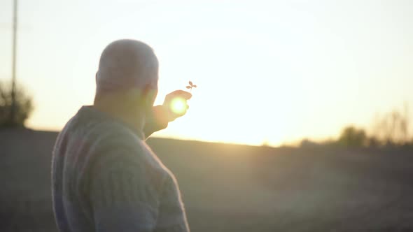 Agronomist Checks the Ascent of the Crop on a Field