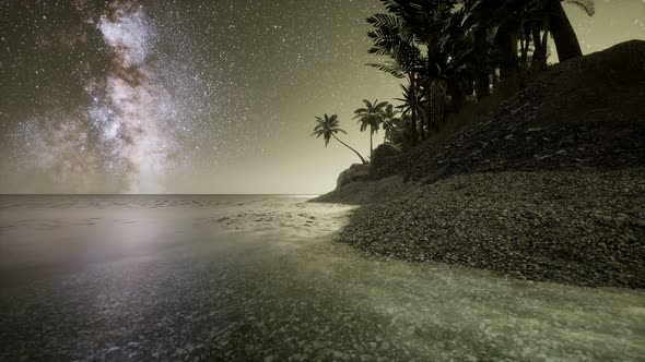 Beautiful Fantasy Tropical Beach with Milky Way Star in Night Skies alt