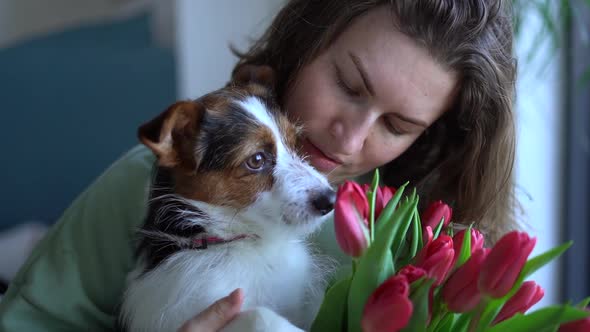 Smiling Caucasian Woman with a Bouquet of Tulips Kissing Her Pet Dog Sitting on Floor at Home alt