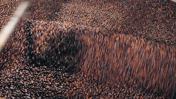 Grinding Machine Works with Roasted Coffee Beans at a Food Plant alt